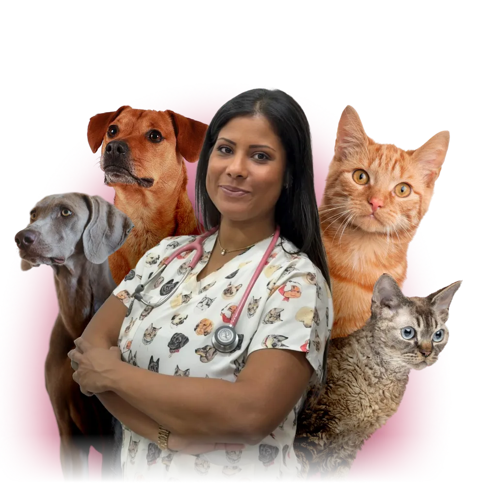 Dr Tamara Maiga, Tamara Vet Inđija