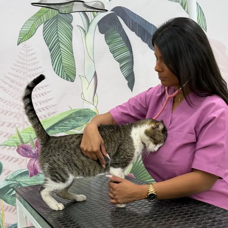 Fully devoted to pets