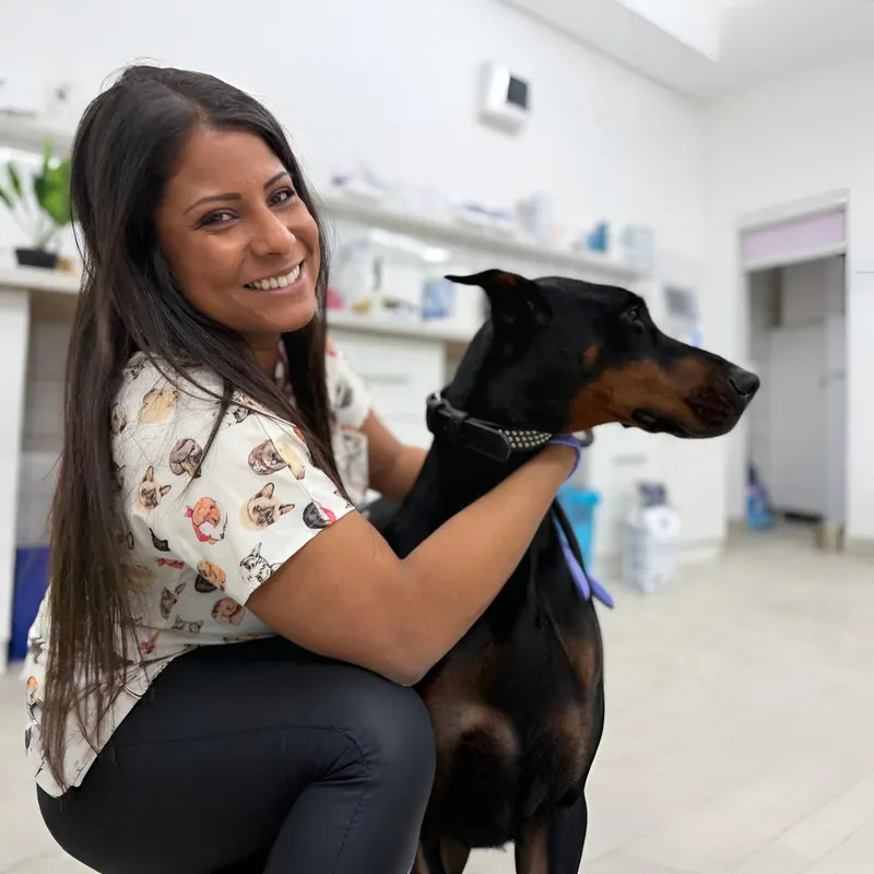 Professionals who love animals